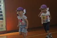 Highslide JS